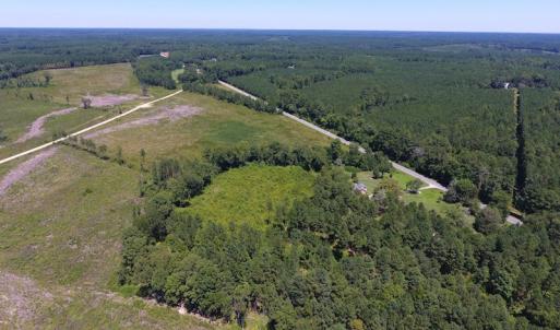 Photo of SOLD!  10 Acres of Hunting and Timber Land For Sale in Halifax County NC!