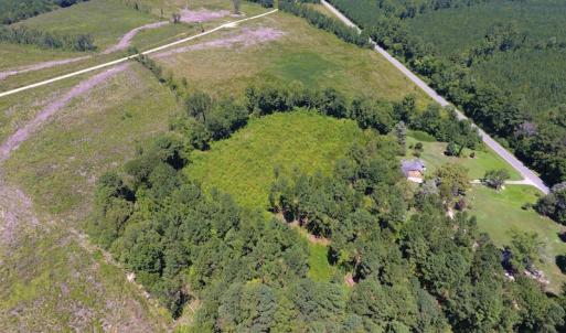 Photo of SOLD!  10 Acres of Hunting and Timber Land For Sale in Halifax County NC!
