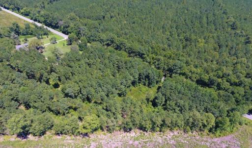 Photo of SOLD!  10 Acres of Hunting and Timber Land For Sale in Halifax County NC!