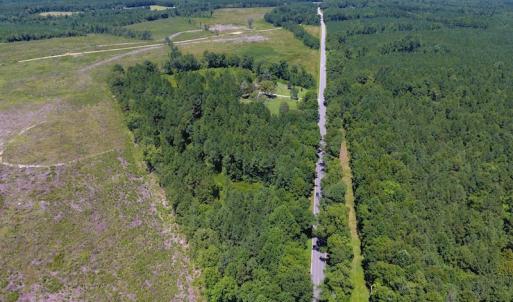 Photo of SOLD!  10 Acres of Hunting and Timber Land For Sale in Halifax County NC!