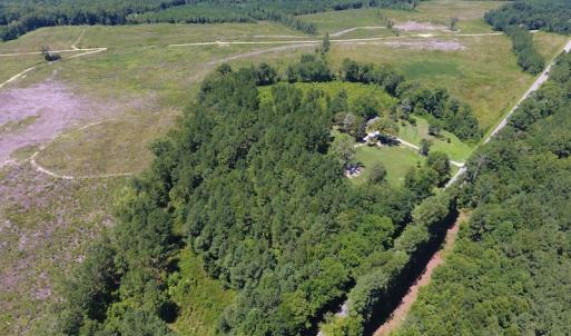Photo of SOLD!  10 Acres of Hunting and Timber Land For Sale in Halifax County NC!