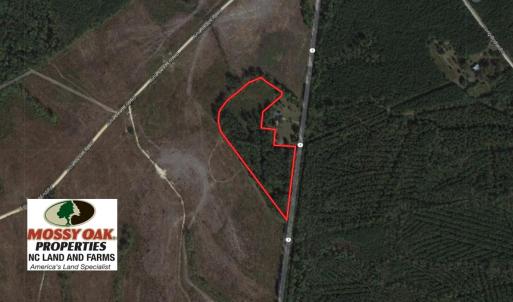 Photo of SOLD!  10 Acres of Hunting and Timber Land For Sale in Halifax County NC!