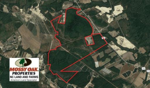 Photo of SOLD!  930 Acres of Hunting and Timber Land for Sale in Bladen County NC!