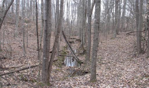 Photo of SOLD!  12.80 Acres of Recreational  Land with Home Site For Sale in Rockingham County NC!