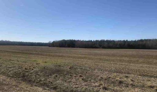 Photo of SOLD!  30 Acre Farm with Pond For Sale in Onslow County NC