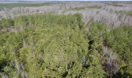 Photo #13 of SOLD property in Double Bridges Rd, Meherrin, VA 29.0 acres