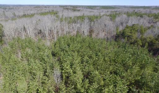 Photo #15 of SOLD property in Double Bridges Rd, Meherrin, VA 29.0 acres