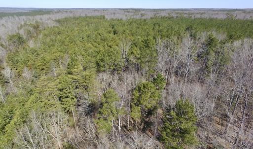 Photo #16 of SOLD property in Double Bridges Rd, Meherrin, VA 29.0 acres