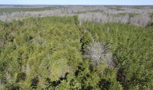 Photo #17 of SOLD property in Double Bridges Rd, Meherrin, VA 29.0 acres