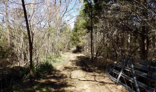 Photo #19 of SOLD property in Double Bridges Rd, Meherrin, VA 29.0 acres