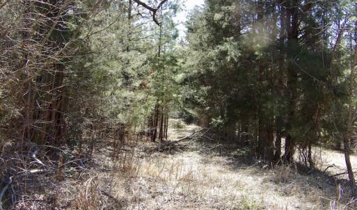 Photo #20 of SOLD property in Double Bridges Rd, Meherrin, VA 29.0 acres