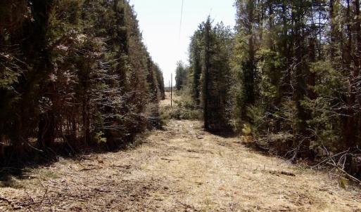 Photo #21 of SOLD property in Double Bridges Rd, Meherrin, VA 29.0 acres