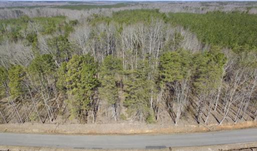Photo #4 of SOLD property in Double Bridges Rd, Meherrin, VA 29.0 acres