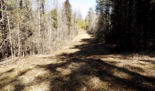 Photo #22 of SOLD property in Double Bridges Rd, Meherrin, VA 29.0 acres