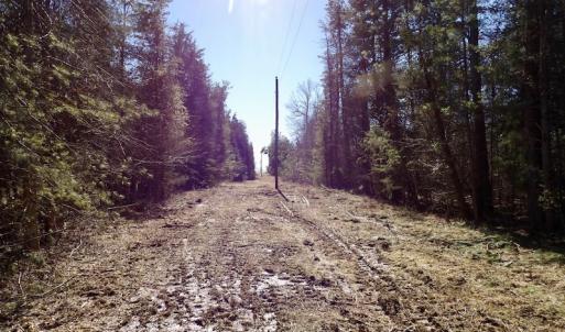 Photo #23 of SOLD property in Double Bridges Rd, Meherrin, VA 29.0 acres