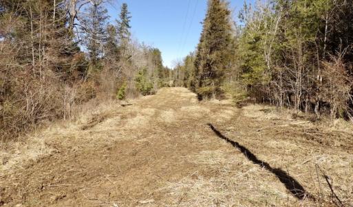 Photo #24 of SOLD property in Double Bridges Rd, Meherrin, VA 29.0 acres