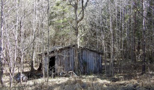 Photo #26 of SOLD property in Double Bridges Rd, Meherrin, VA 29.0 acres