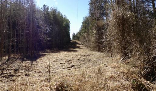Photo #28 of SOLD property in Double Bridges Rd, Meherrin, VA 29.0 acres
