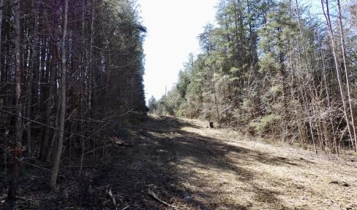 Photo #29 of SOLD property in Double Bridges Rd, Meherrin, VA 29.0 acres