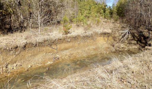 Photo #30 of SOLD property in Double Bridges Rd, Meherrin, VA 29.0 acres