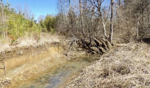 Photo #31 of SOLD property in Double Bridges Rd, Meherrin, VA 29.0 acres