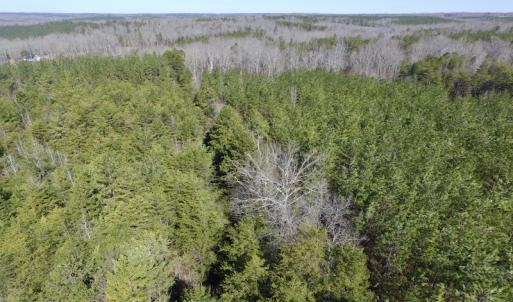 Photo #5 of SOLD property in Double Bridges Rd, Meherrin, VA 29.0 acres