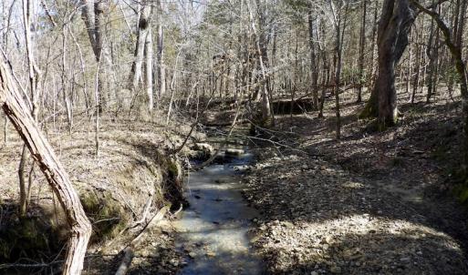 Photo #32 of SOLD property in Double Bridges Rd, Meherrin, VA 29.0 acres