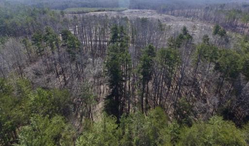 Photo #6 of SOLD property in Double Bridges Rd, Meherrin, VA 29.0 acres