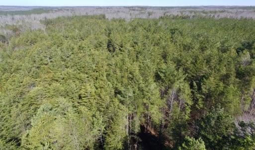 Photo #8 of SOLD property in Double Bridges Rd, Meherrin, VA 29.0 acres