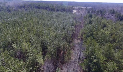 Photo #10 of SOLD property in Double Bridges Rd, Meherrin, VA 29.0 acres