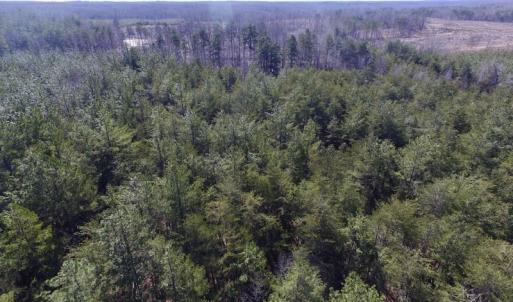 Photo #11 of SOLD property in Double Bridges Rd, Meherrin, VA 29.0 acres