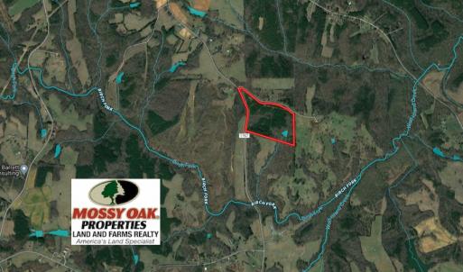 Photo #2 of SOLD property in 150 Bark Road, Ruffin, NC 36.5 acres