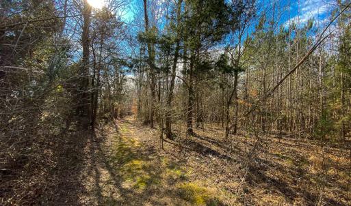 Photo #3 of SOLD property in 150 Bark Road, Ruffin, NC 36.5 acres
