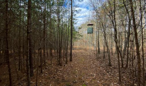 Photo #13 of SOLD property in 150 Bark Road, Ruffin, NC 36.5 acres