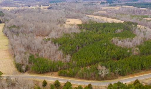 Photo #18 of SOLD property in 150 Bark Road, Ruffin, NC 36.5 acres