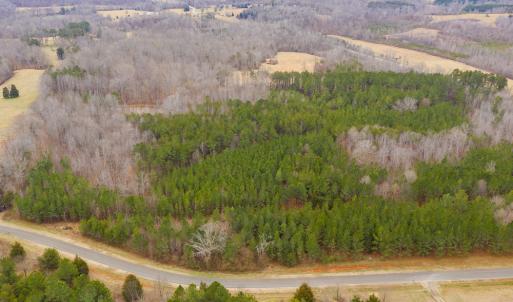 Photo #19 of SOLD property in 150 Bark Road, Ruffin, NC 36.5 acres