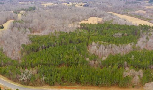 Photo #20 of SOLD property in 150 Bark Road, Ruffin, NC 36.5 acres
