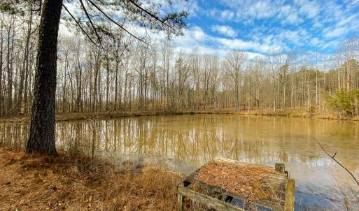 Photo #4 of SOLD property in 150 Bark Road, Ruffin, NC 36.5 acres