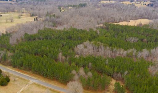 Photo #22 of SOLD property in 150 Bark Road, Ruffin, NC 36.5 acres
