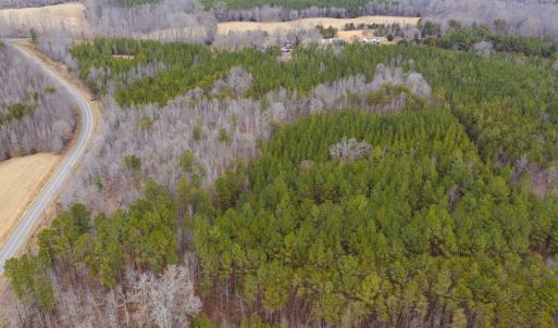 Photo #31 of SOLD property in 150 Bark Road, Ruffin, NC 36.5 acres