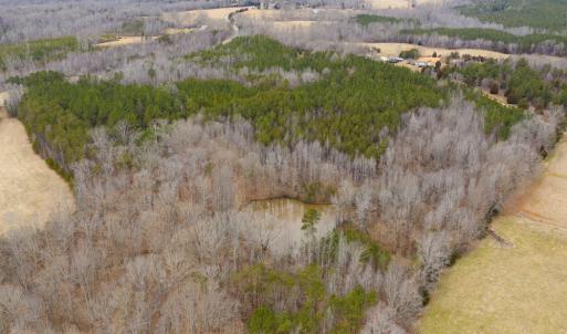 Photo #36 of SOLD property in 150 Bark Road, Ruffin, NC 36.5 acres