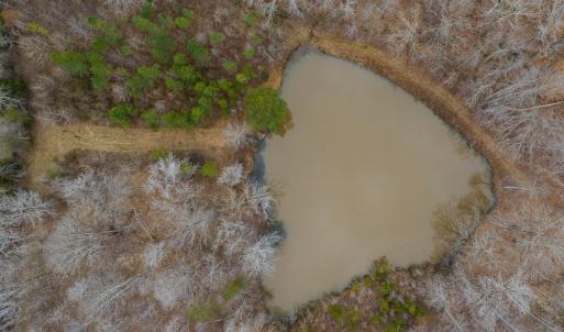 Photo #37 of SOLD property in 150 Bark Road, Ruffin, NC 36.5 acres