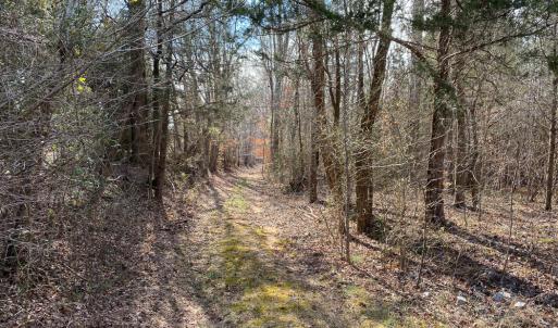 Photo #39 of SOLD property in 150 Bark Road, Ruffin, NC 36.5 acres