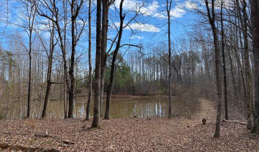 Photo #41 of SOLD property in 150 Bark Road, Ruffin, NC 36.5 acres