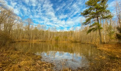 Photo #6 of SOLD property in 150 Bark Road, Ruffin, NC 36.5 acres