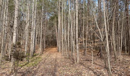 Photo #42 of SOLD property in 150 Bark Road, Ruffin, NC 36.5 acres