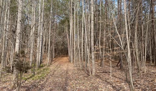 Photo #42 of SOLD property in 150 Bark Road, Ruffin, NC 36.5 acres