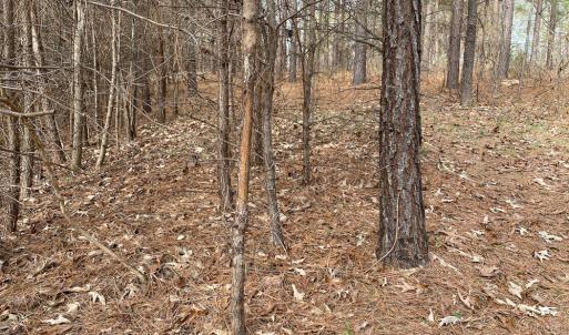 Photo #44 of SOLD property in 150 Bark Road, Ruffin, NC 36.5 acres