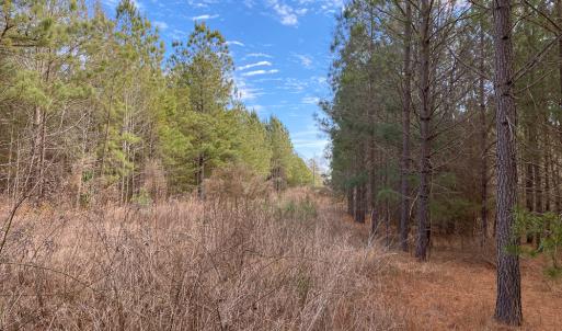 Photo #46 of SOLD property in 150 Bark Road, Ruffin, NC 36.5 acres
