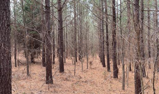 Photo #47 of SOLD property in 150 Bark Road, Ruffin, NC 36.5 acres